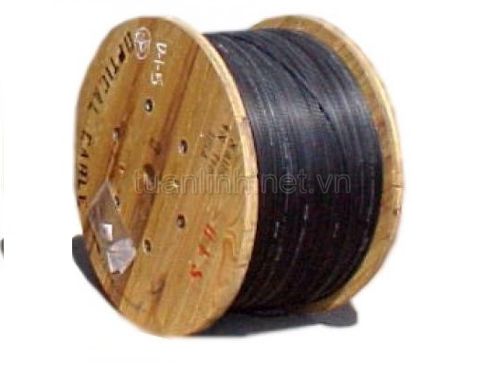 Dây cáp quang 2 core (FO) FTTH